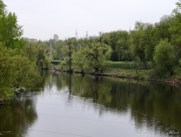 Обзор vivo X200 Pro: смартфон как рог изобилия