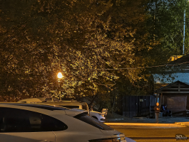 Обзор vivo X200 Pro: смартфон как рог изобилия