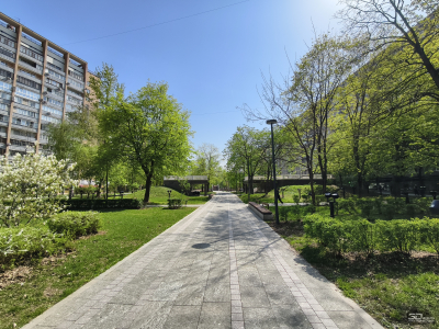 Обзор vivo X200 Pro: смартфон как рог изобилия