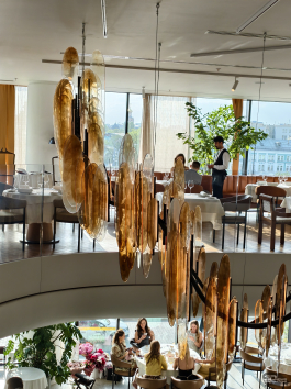 Обзор vivo X200 Pro: смартфон как рог изобилия