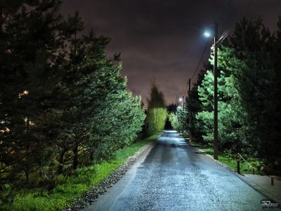 Обзор vivo X200 Pro: смартфон как рог изобилия