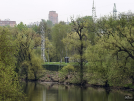 Обзор vivo X200 Pro: смартфон как рог изобилия