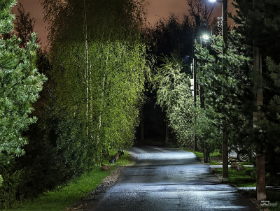 Обзор vivo X200 Pro: смартфон как рог изобилия