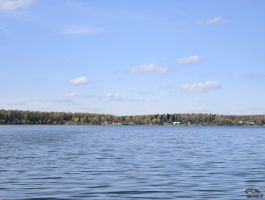 Обзор vivo X200 Pro: смартфон как рог изобилия