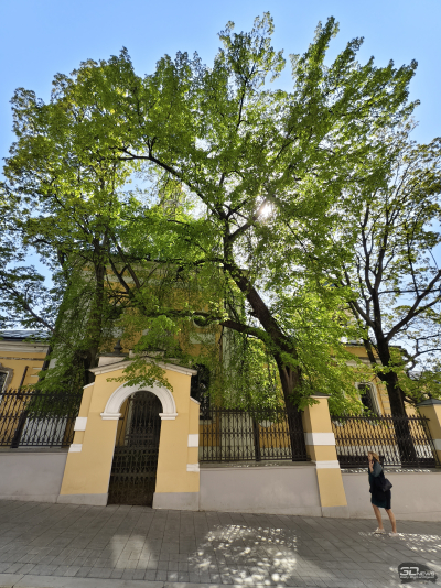 Обзор vivo X200 Pro: смартфон как рог изобилия