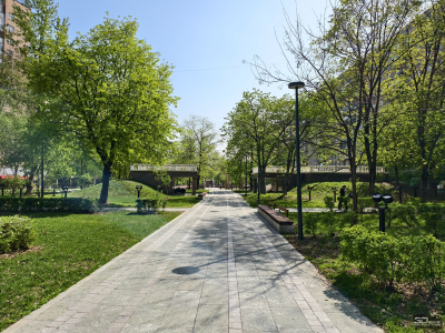 Обзор vivo X200 Pro: смартфон как рог изобилия