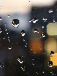 Обзор vivo X200 Pro: смартфон как рог изобилия