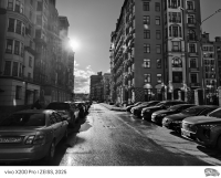 Обзор vivo X200 Pro: смартфон как рог изобилия