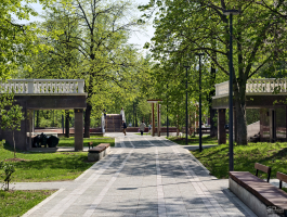 Обзор vivo X200 Pro: смартфон как рог изобилия