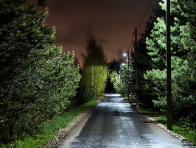 Обзор vivo X200 Pro: смартфон как рог изобилия