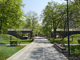 Обзор vivo X200 Pro: смартфон как рог изобилия