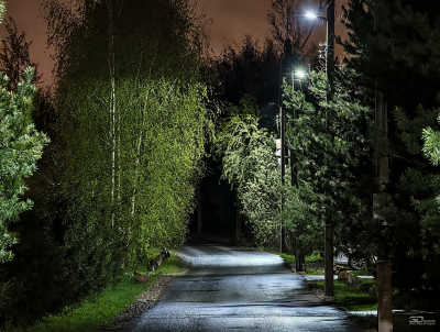 Обзор vivo X200 Pro: смартфон как рог изобилия