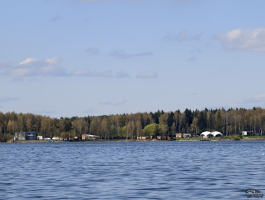 Обзор vivo X200 Pro: смартфон как рог изобилия