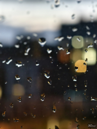 Обзор vivo X200 Pro: смартфон как рог изобилия