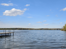 Обзор vivo X200 Pro: смартфон как рог изобилия