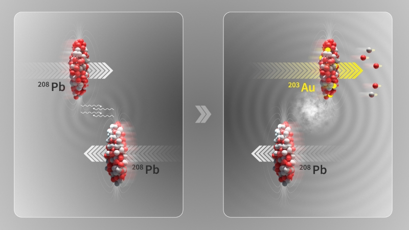 Учёные взаправду превратили свинец в золото — но очень мало и совсем ненадолго