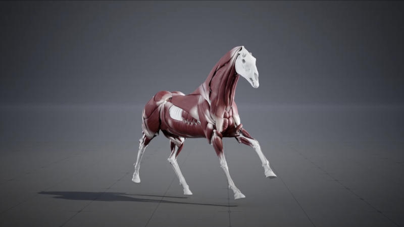 Epic Games представила движок Unreal 5.6 с оптимизацией для консолей и недорогих ПК