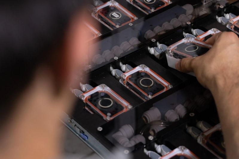 Мозговой имплант Neuralink позволил обезьяне увидеть несуществующий предмет