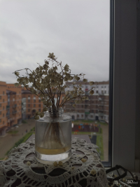 Обзор HUAWEI MatePad Pro 12.2&rsquo;&rsquo; (2025): обновление планшета с лучшим экраном