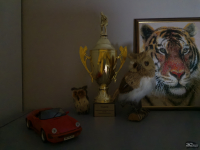 Обзор HUAWEI MatePad Pro 12.2&rsquo;&rsquo; (2025): обновление планшета с лучшим экраном