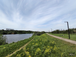 Обзор смартфона IQOO Neo 10: избранный, чтобы сделать бренд узнаваемым