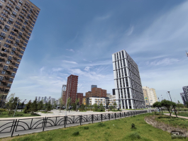 Обзор смартфона IQOO Neo 10: избранный, чтобы сделать бренд узнаваемым