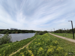 Обзор смартфона IQOO Neo 10: избранный, чтобы сделать бренд узнаваемым