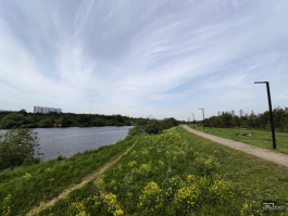 Обзор смартфона IQOO Neo 10: избранный, чтобы сделать бренд узнаваемым