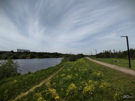 Обзор смартфона IQOO Neo 10: избранный, чтобы сделать бренд узнаваемым