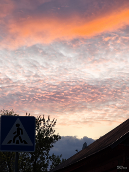 Обзор Xiaomi 15 Ultra: мощнейший камерофон, но со странностями