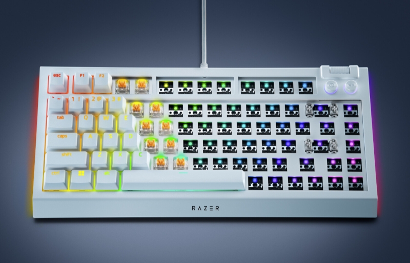 Razer выпустила набор для сборки кастомной механической клавиатуры BlackWidow V4 75% Barebones