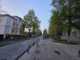 Сравнительный тест камер флагманских смартфонов (2025): Apple iPhone 16 Pro Max, HONOR Magic 7 Pro, HUAWEI Mate 70 Pro, Samsung Galaxy S25 Ultra, vivo X200 Pro, Xiaomi 15 Ultra