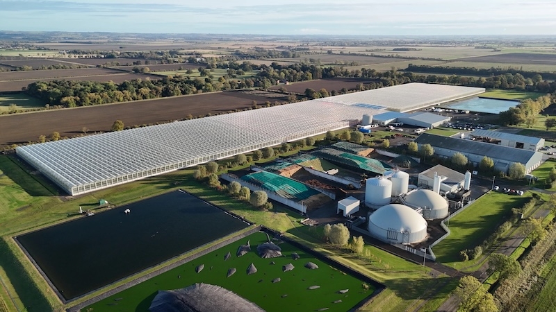 Dyson построила клубничную ферму будущего: ягоды собирают роботы, а отходы превращаются в энергию