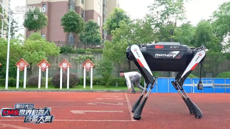 Китайцы создали самого быстрого в мире робопса &mdash; за стометровку он мог бы претендовать на золотой знак ГТО