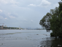 Обзор гибкого смартфона Samsung Galaxy Z Fold7: догнал одним прыжком