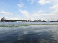 Обзор гибкого смартфона Samsung Galaxy Z Fold7: догнал одним прыжком