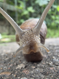 Обзор гибкого смартфона Samsung Galaxy Z Fold7: догнал одним прыжком