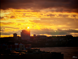 Обзор смартфона HONOR 400 Pro: настоящая уличная магия