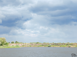 Обзор смартфона HONOR 400 Pro: настоящая уличная магия