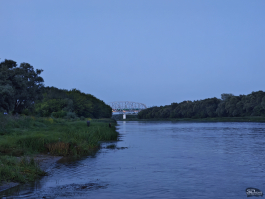 Обзор смартфона HONOR 400 Pro: настоящая уличная магия