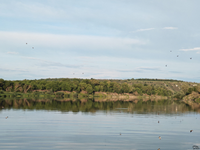 Обзор смартфона HONOR 400 Pro: настоящая уличная магия