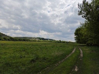 Обзор смартфона HONOR 400 Pro: настоящая уличная магия