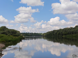 Обзор смартфона HONOR 400 Pro: настоящая уличная магия