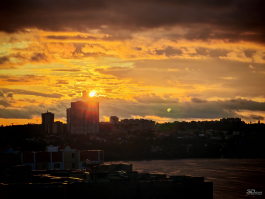 Обзор смартфона HONOR 400 Pro: настоящая уличная магия