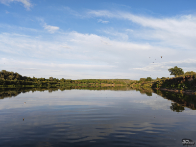 Обзор смартфона HONOR 400 Pro: настоящая уличная магия