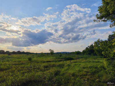 Обзор смартфона HONOR 400 Pro: настоящая уличная магия