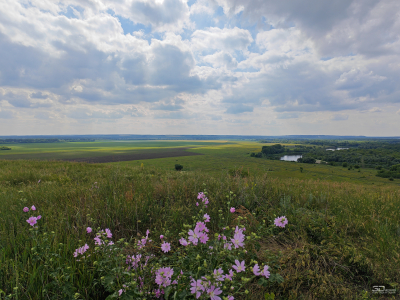 Обзор смартфона HONOR 400 Pro: настоящая уличная магия