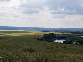 Обзор смартфона HONOR 400 Pro: настоящая уличная магия