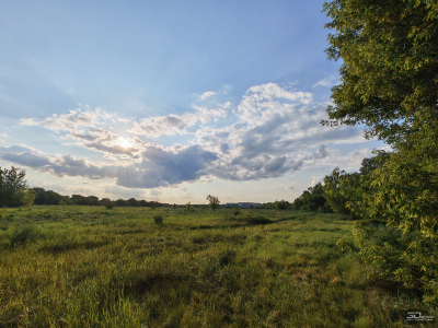 Обзор смартфона HONOR 400 Pro: настоящая уличная магия