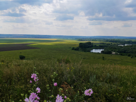 Обзор смартфона HONOR 400 Pro: настоящая уличная магия